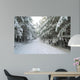 Wald Winter