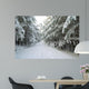 Wald Winter