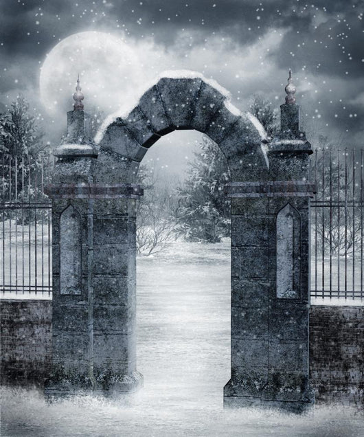 Winter Gothic Scenery Wall Mural
