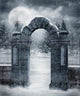 Winter Gothic Scenery Wall Mural