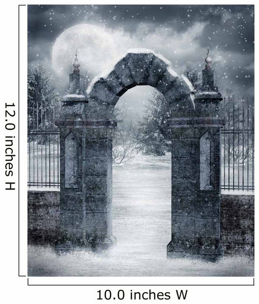 Winter Gothic Scenery Wall Mural