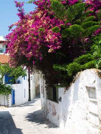Skiathos Island Greece Wall Decal Design 4