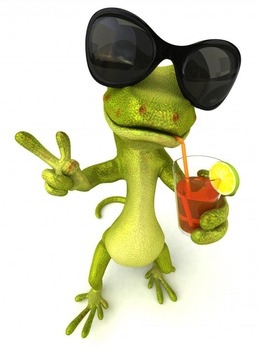 Lizard on vacation Wall Decal