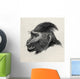 Cynopithecus Niger Wall Mural