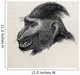 Cynopithecus Niger Wall Mural