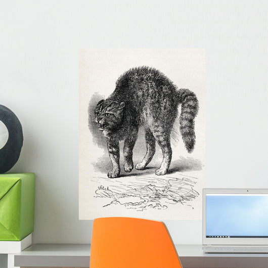 Cat Terrified At A Dog Wall Mural