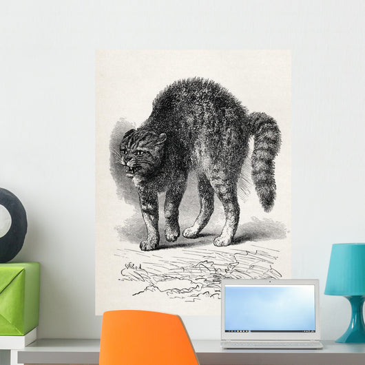 Cat Terrified At A Dog Wall Mural