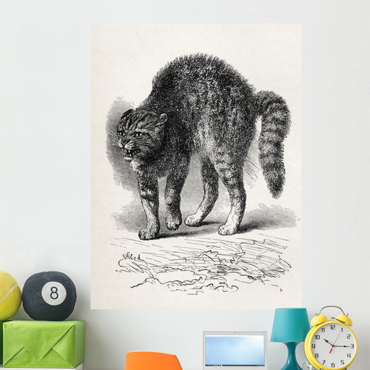Cat Terrified At A Dog Wall Mural