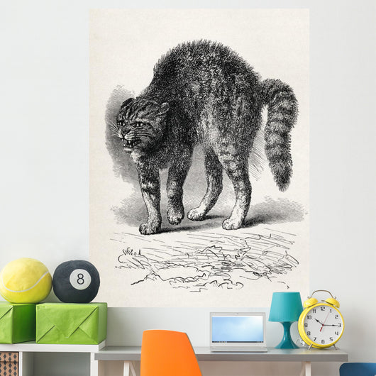 Cat Terrified At A Dog Wall Mural