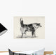 Half Bred Shepherd Dog With Hostile Intentions Wall Mural