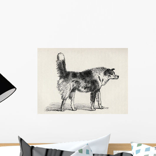 Half Bred Shepherd Dog With Hostile Intentions Wall Mural