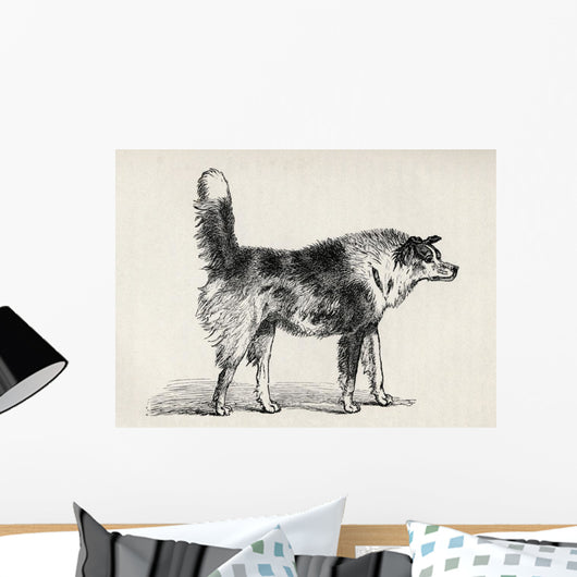 Half Bred Shepherd Dog With Hostile Intentions Wall Mural