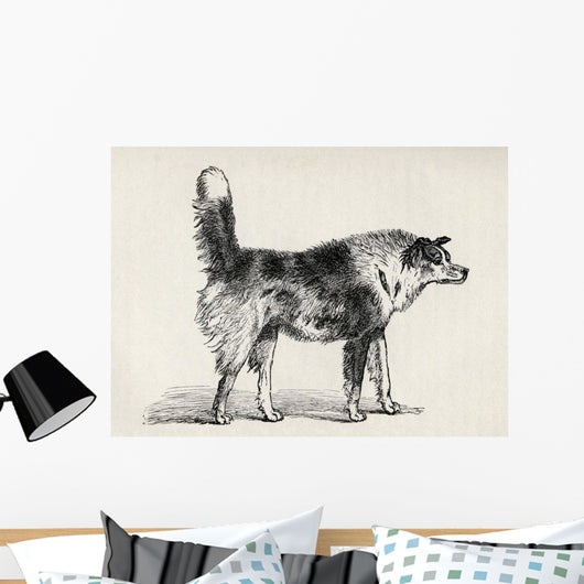 Half Bred Shepherd Dog With Hostile Intentions Wall Mural