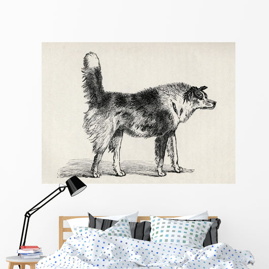 Half Bred Shepherd Dog With Hostile Intentions Wall Mural