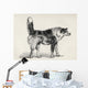 Half Bred Shepherd Dog With Hostile Intentions Wall Mural