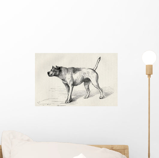 Dog Approaching Another Dog With Hostile Intentions Wall Mural
