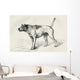 Dog Approaching Another Dog With Hostile Intentions Wall Mural