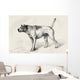 Dog Approaching Another Dog With Hostile Intentions Wall Mural