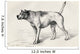 Dog Approaching Another Dog With Hostile Intentions Wall Mural