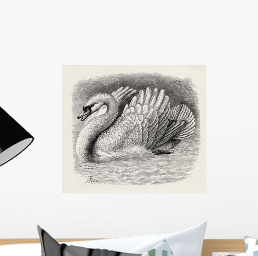 Swan Driving Away An Intruder Wall Mural