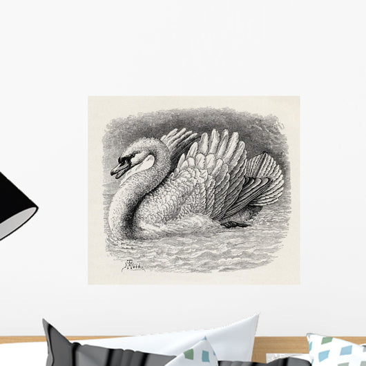 Swan Driving Away An Intruder Wall Mural