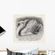 Swan Driving Away An Intruder Wall Mural