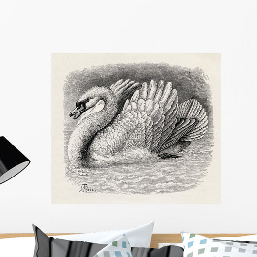 Swan Driving Away An Intruder Wall Mural