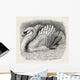 Swan Driving Away An Intruder Wall Mural