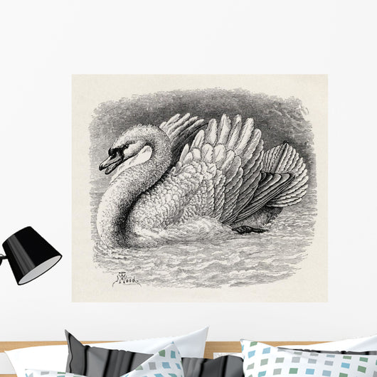 Swan Driving Away An Intruder Wall Mural