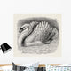 Swan Driving Away An Intruder Wall Mural
