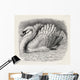 Swan Driving Away An Intruder Wall Mural