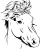 Icelandic Horse Portrait Wall Decal