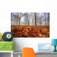 Autumn foliage, trees and fog in November Wall Mural
