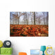 Autumn foliage, trees and fog in November Wall Mural