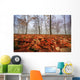 Autumn foliage, trees and fog in November Wall Mural