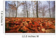 Autumn foliage, trees and fog in November Wall Mural