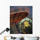 Midway Rides Wall Mural
