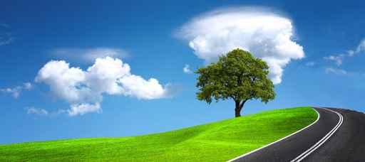 Empty Road Wall Decal