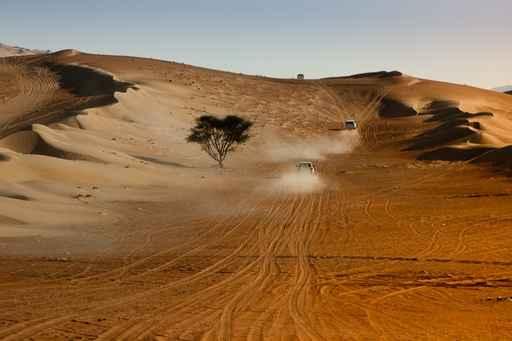 Dune Bashing Wall Decal