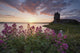 Sunset Over Dunguaire Castle, Kinvara, County Galway, Ireland Wall Mural