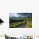 Road Through Glenelly Valley, County Tyrone, Northern Ireland Wall Mural