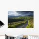 Road Through Glenelly Valley, County Tyrone, Northern Ireland Wall Mural