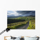 Road Through Glenelly Valley, County Tyrone, Northern Ireland Wall Mural
