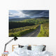 Road Through Glenelly Valley, County Tyrone, Northern Ireland Wall Mural