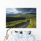 Road Through Glenelly Valley, County Tyrone, Northern Ireland Wall Mural