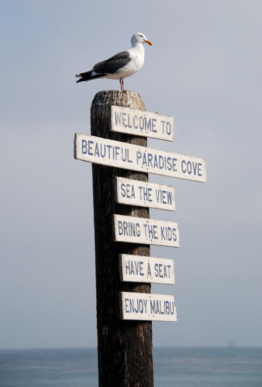Sitting Pole