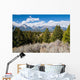 Grand Tetons Wall Decal