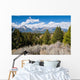Grand Tetons Wall Decal