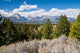Grand Tetons Wall Decal
