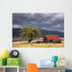 Shack In A Field Wall Mural